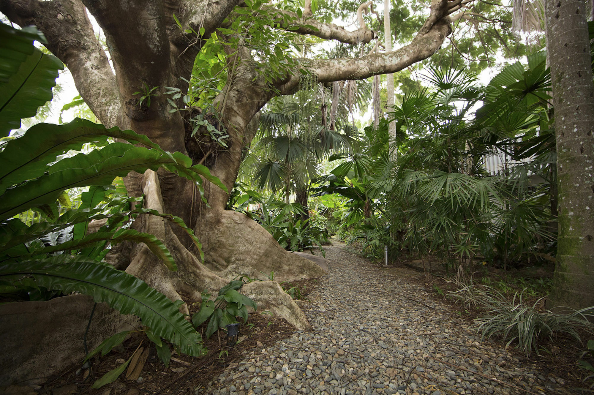 Castaways Resort & Spa On Mission Beach Exterior foto